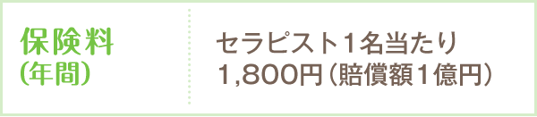 保険料(年間)